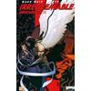 IRREDEEMABLE n. 11