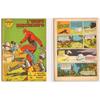 AVVENTURE AMERICANE n. 29 L'UOMO MASCHERATO - IL RICATTO DEL PRINCIPE RAGON